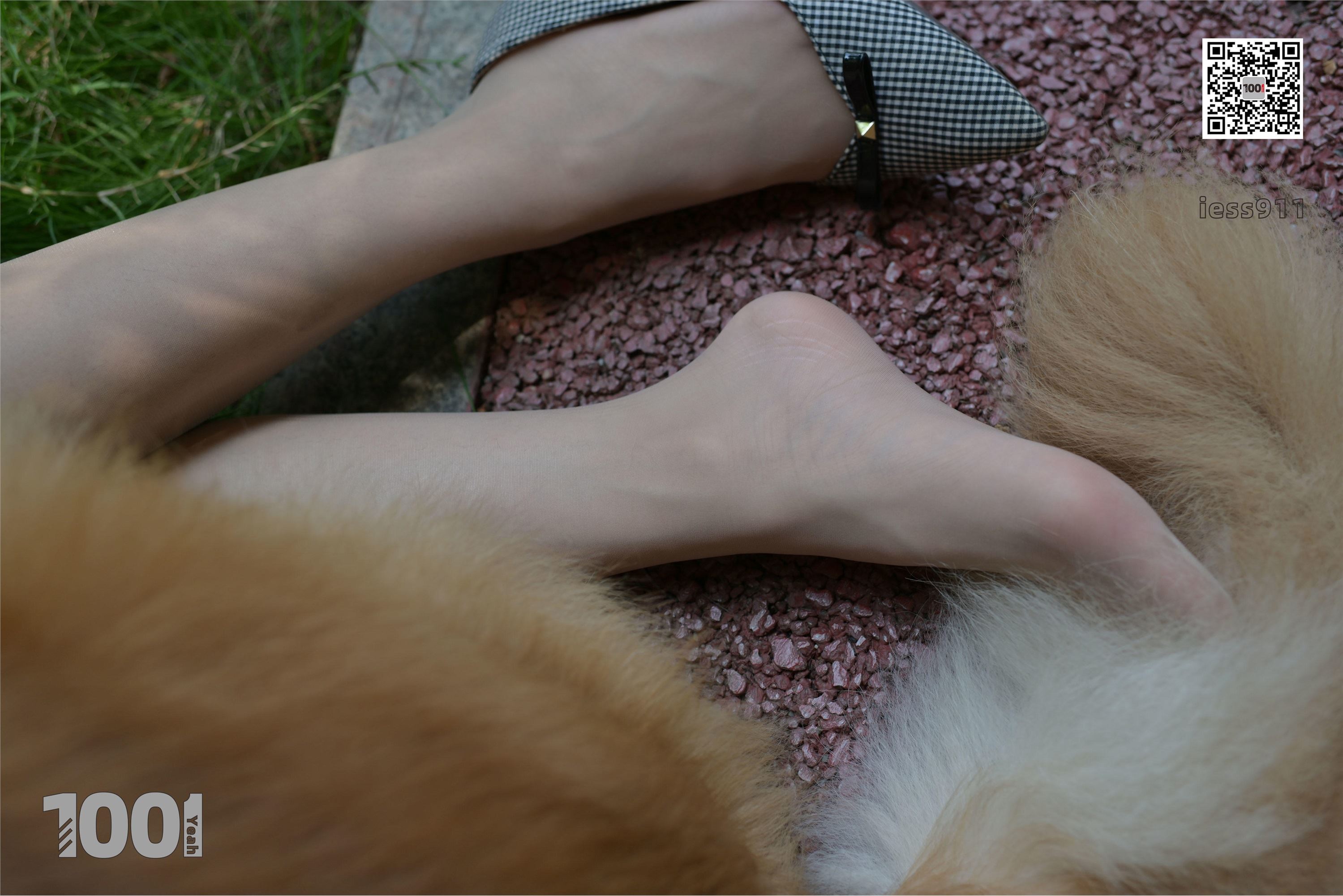 IESS异思趣向 一千零一夜 模特：真真《家有萌宠1》